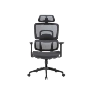 Abram Executive Chair-furnituresphere.online